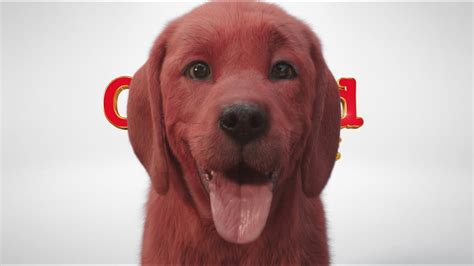 Teaser För Clifford The Big Red Dog Världens Största Hund Visar Upp
