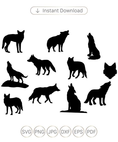 Coyote Svg Coyote Silhouettes Coyote Dxf Coyote Vector Svg Etsy