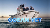 Ocean Vet : Trailer 01 - YouTube