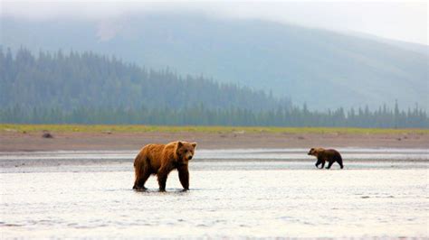 Lake Clark National Park And Preserve Travel Alaska