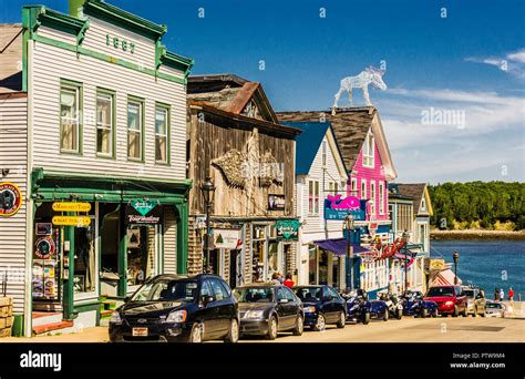 Bar Harbor Maine Moose Hi Res Stock Photography And Images Alamy