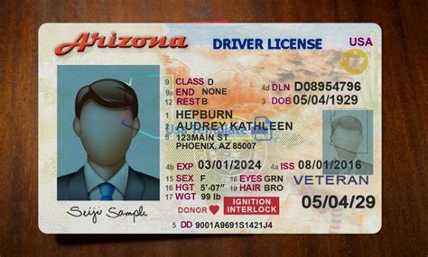 Arizona driver license Template: High quality Driving License psd template