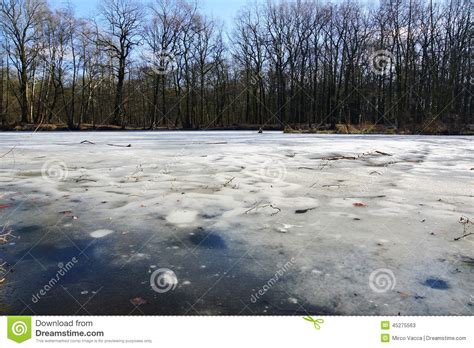 Frozen Lake Stock Image Image Of Outdoors Weather Tree 45275563