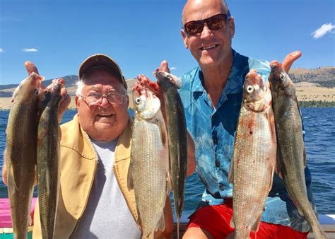 Flathead Lake Famous Whitefish Bite Might Be Starting Montana Hunting
