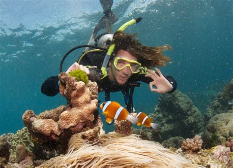 Hitting The Water Scuba Diving On The Great Barrier Reef Cairns