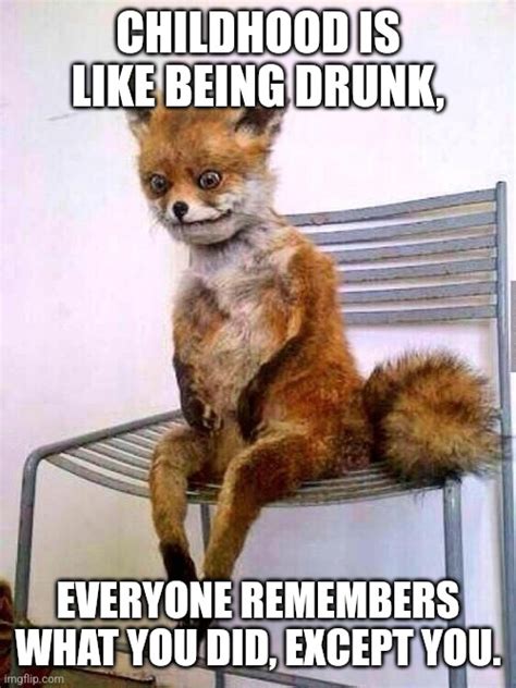 drunken fox memes imgflip