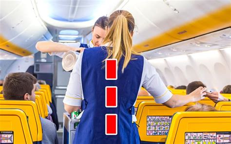 20 Ordinary Things That Flight Attendants Arent Allowed To Do On
