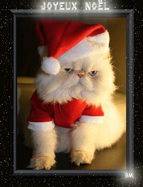 Image vacances vacances février vive les vacances vacances hiver vacances de reve anniversaire 15 ans gif joyeux anniversaire animation feu d'artifice gif feu d'artifice. musique de noel chat