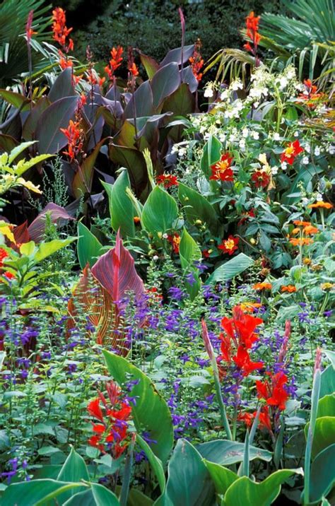 The Most Beautiful Flowering Plants For Your Tropical Garden Article