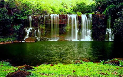 Hd Wallpaper Waterfall In The Thick Green Forest River Pond Weed Hd