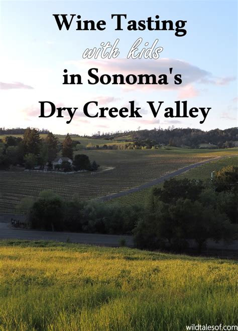 Wine Tasting With Kids In Sonomas Dry Creek Valley