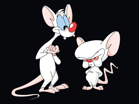 Pinky And The Brain Gif Pinky And The Brain Gifs Tenor Pinky And The