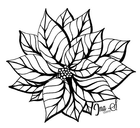 Poinsettia Flower Drawing At Getdrawings Free Download