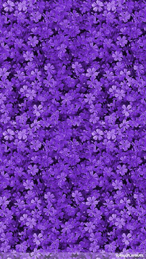 Unique Purple Floral Background