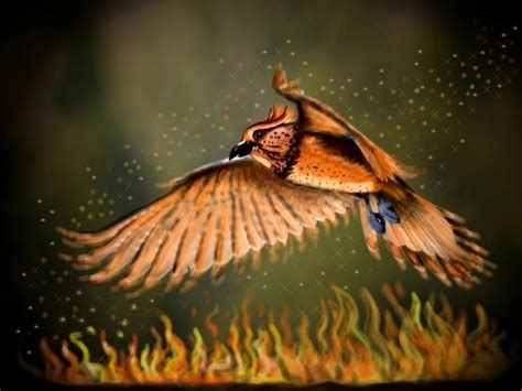 Phönix - Feuervogel Foto & Bild | bearbeitungs - techniken, digitale gemälde, digiart Bilder auf ...
