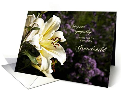 We did not find results for: Sympathy card on the death of a grandchild. card (1351534)