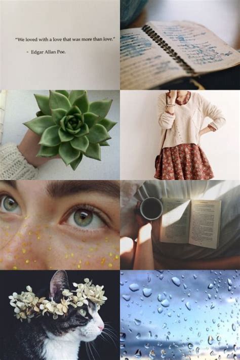 Infj Aesthetic A Little Weird I Guess But Ive Always Wanted To See