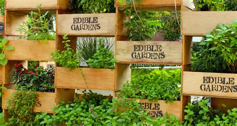 The Edible Garden Project Goasia