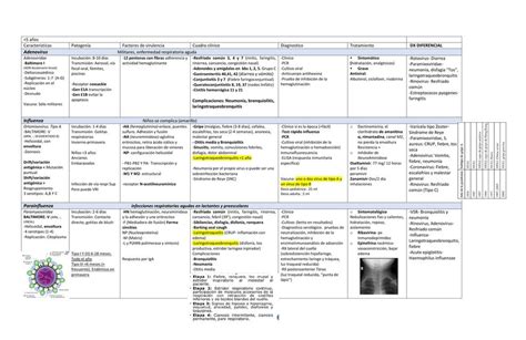 Cuadro Comparativo De Virus Y Bacterias Causantes De Vrogue Co