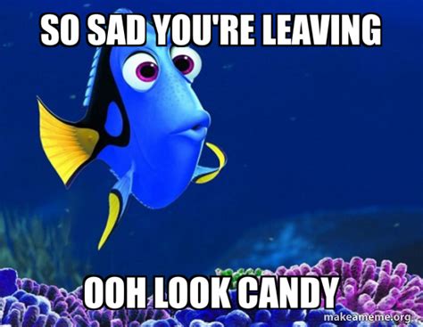 So Sad Youre Leaving Ooh Look Candy Dory From Nemo 5 Second Memory