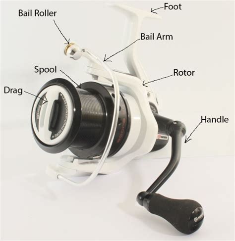 Spinning Reel Buyers Guide Anatomy And Size Selection