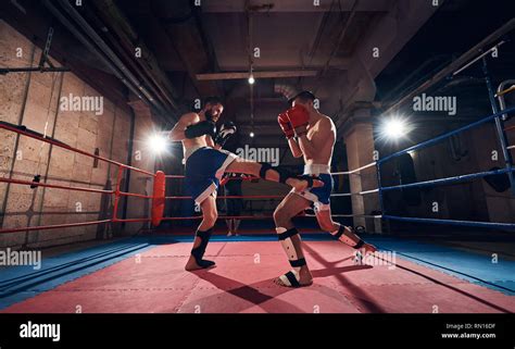 Kickboxing Hi Res Stock Photography And Images Alamy