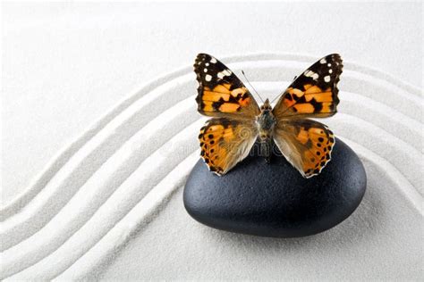 Zen Stone With Butterfly Stock Image Image Of Serenity 39053517