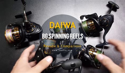 Daiwa BG Series Reviewed Compared Which Size Suits Your Needs