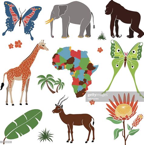 Safari Africain Ensemble Dicônes Illustration Getty Images
