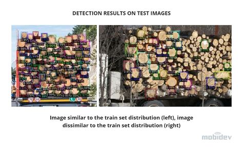 Small Dataset Based Object Detection