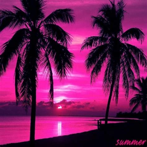 Tropical Pink Sunset Background Pink Sky