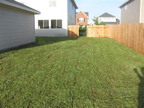 Augustine available to address these changing needs. Raleigh St. Augustine pictures | Houston, Woodlands ...