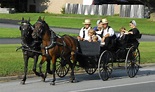 Intercourse PA ~ Zimmerman's - Amish PA 31 Amish Family, Amish Farm ...