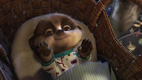 Meerkat Baby Oleg High Definition High Resolution Hd Wallpapers