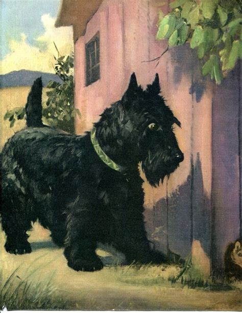 Scottish Terrier Cane Vintage Print Wesley Dennis 1950 Di Roxyrani Dog