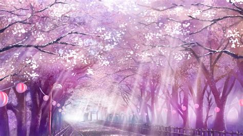 Anime Landscape Scenic Sakura Blossom Cherry Path Sunlight