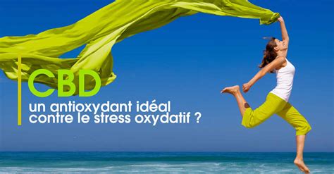 Cbd Antioxydant Id Al Contre Le Stress Oxydatif