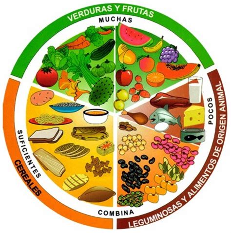 Alimentos Que Contienen Carbohidratos La Guía De Las Vitaminas