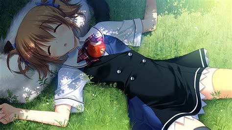 Hd Wallpaper Cats School Uniforms Schoolgirls Sleeping Anime Apples