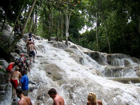 Dolphin Encounter And Dunns River Falls