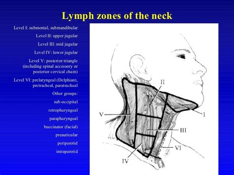 A Tfayli Head And Neck Guidelines And Clinical Case Presentation
