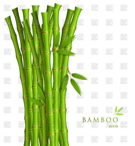 Bamboo Vector Free At Vectorified Com Collection Of Bamboo Vector