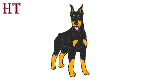 How To Draw A Doberman Dog Easy Step By Step