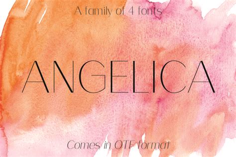 Angelica Font By Denestudios Creative Fabrica Elegant Font
