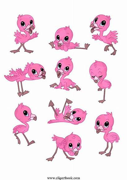 Flamingo Clipart Pink Clip Le Draw Designs