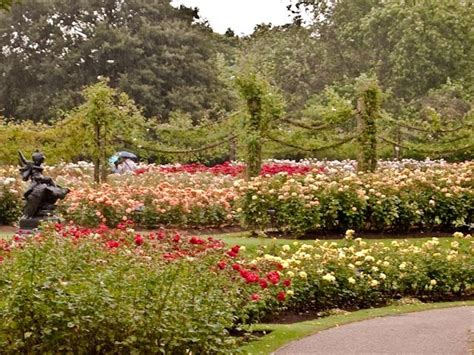 The Rose Garden In Regents Park Regents Park Was Just Around The