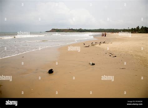 Bekal Fort Beach Near Kasaragod Kerala People Enjoy The Beach Despite