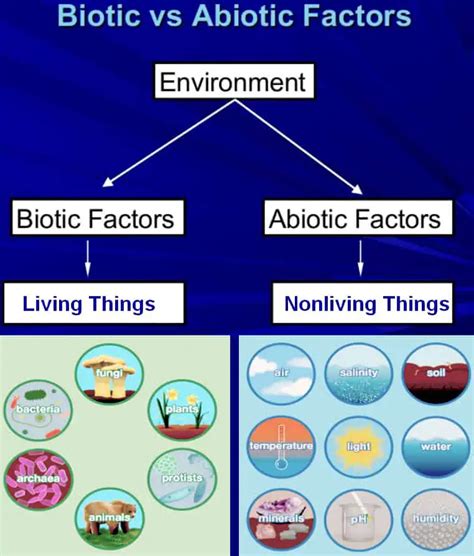 Difference Between Biotic And Abiotic Factors Laboratoryinfo Com