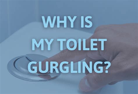 Why Is My Toilet Gurgling Origin Explains Why