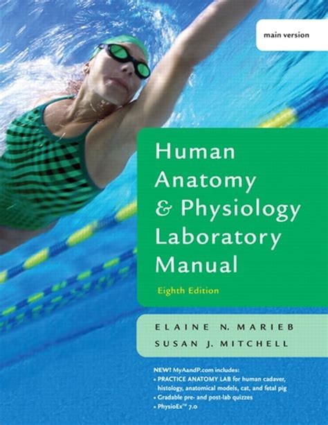 Marieb And Mitchell Human Anatomy And Physiology Lab Manual Main Version